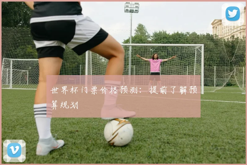 世界杯门票价格预测:提前了解预算规划